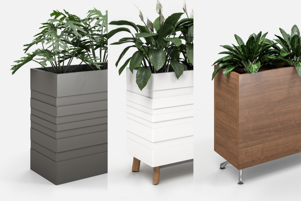 Enwork Terra 3